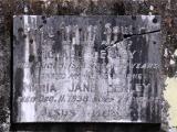 image of grave number 651639